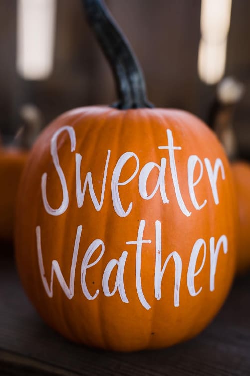 Pumpkin that states "sweater weather".