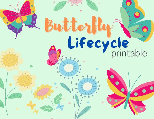Cover of printable butterfly life cycle with colorful butterflies.