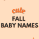 Baby boy names with meaning, strong names, and warm, rustic autumn boy names
